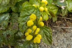 De-Twijne-KidzKlix-69