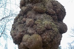 De-Twijne-KidzKlix-70