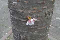 De-Twijne-KidzKlix-71