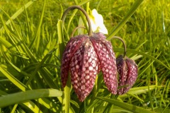 De-Twijne-KidzKlix-72