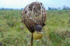 11-12-2e