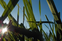 Donnerschool-de-Glind-KidzKlix-november-2020-03