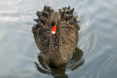 Donnerschool-de-Glind-KidzKlix-november-2020-04