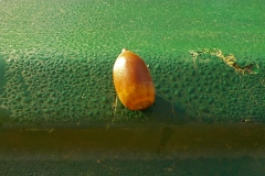 Donnerschool-de-Glind-KidzKlix-november-2020-05