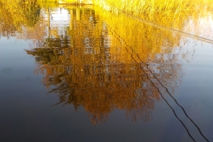 Donnerschool-de-Glind-KidzKlix-november-2020-06