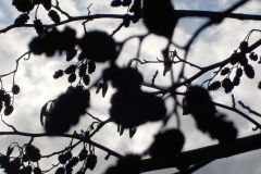 Donnerschool-de-Glind-KidzKlix-november-2020-09