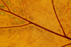 Fotowedstrijd-KidzKlix-2021-06