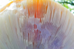 10-06-3e