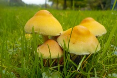 13-11-3e
