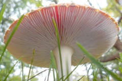 19-09-1e