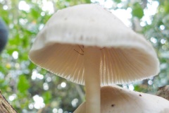 22-11-3e