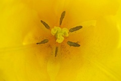Nummer-2-fotograaf-1-50