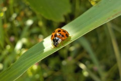 Nummer-2-fotograaf-9-17