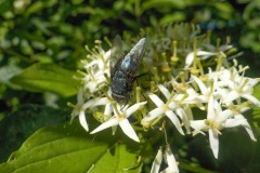 Johannes-Martinus-KidzKlix-02