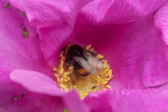 Johannes-Martinus-KidzKlix-03