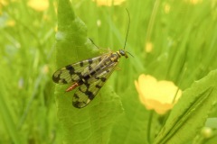 Johannes-Martinus-KidzKlix-04