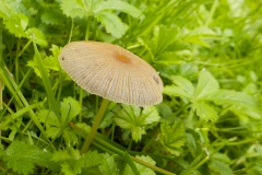 Johannes-Martinus-KidzKlix-05