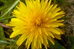 Johannes-Martinus-KidzKlix-07