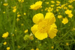 Johannes-Martinus-KidzKlix-09