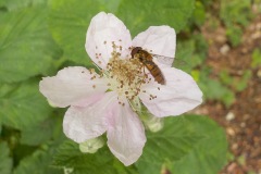 Johannes-Martinus-KidzKlix-10