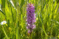 Johannes-Martinus-KidzKlix-11