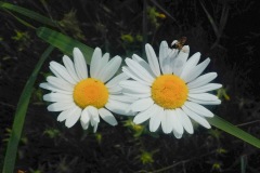 Johannes-Martinus-KidzKlix-12