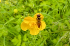 Johannes-Martinus-KidzKlix-14