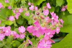 Johannes-Martinus-KidzKlix-15