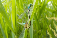 Johannes-Martinus-KidzKlix-17