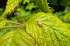 Johannes-Martinus-KidzKlix-19