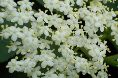 Johannes-Martinus-KidzKlix-20