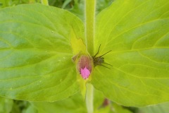 Johannes-Martinus-KidzKlix-21