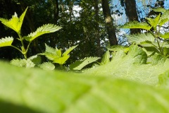 Johannes-Martinus-KidzKlix-23