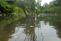 Johannes-Martinus-KidzKlix-25