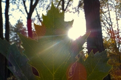 Jong-Putten-KidzKlix-01