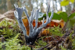 Jong-Putten-KidzKlix-02