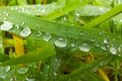 Jong-Putten-KidzKlix-03