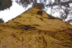 Jong-Putten-KidzKlix-04