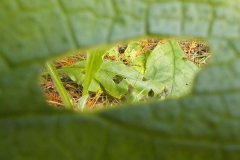 Jong-Putten-KidzKlix-05