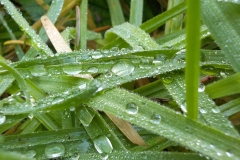 Jong-Putten-KidzKlix-06