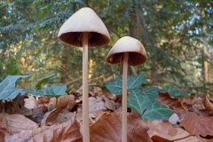 Jong-Putten-KidzKlix-07