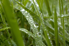 Jong-Putten-KidzKlix-08