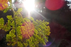 Jong-Putten-KidzKlix-09