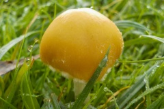 18-03-2e