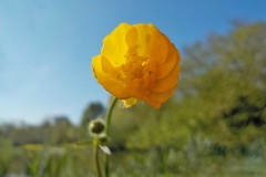 Nummer-3-fotograaf-8-15
