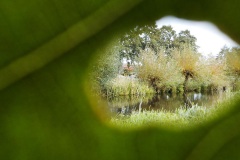 fotograaf-10-26