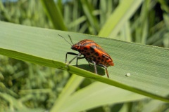 Nummer-2-fotograaf-10-2
