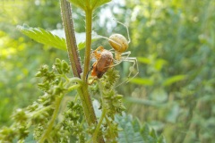Winnaar-fotograaf-2-10
