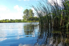 Winnaar-fotograaf-3-4
