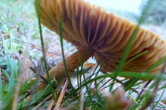 Petje-af-KidzKlix-winnaars-2020-005